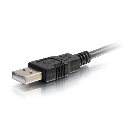 USB A micro b cable- USBC end